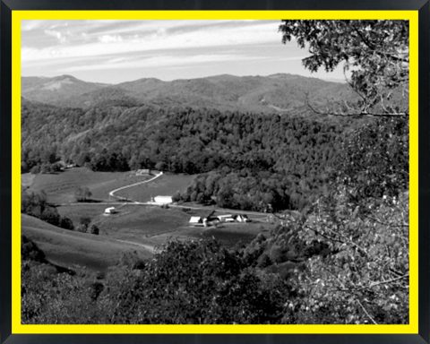 D59606 — Super 8 headboard artwork, North Carolina
