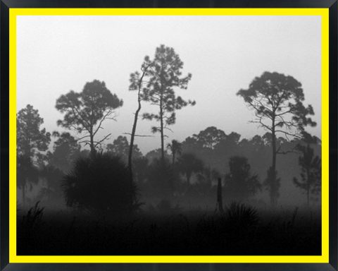 D06341 — Super 8 headboard artwork, Florida