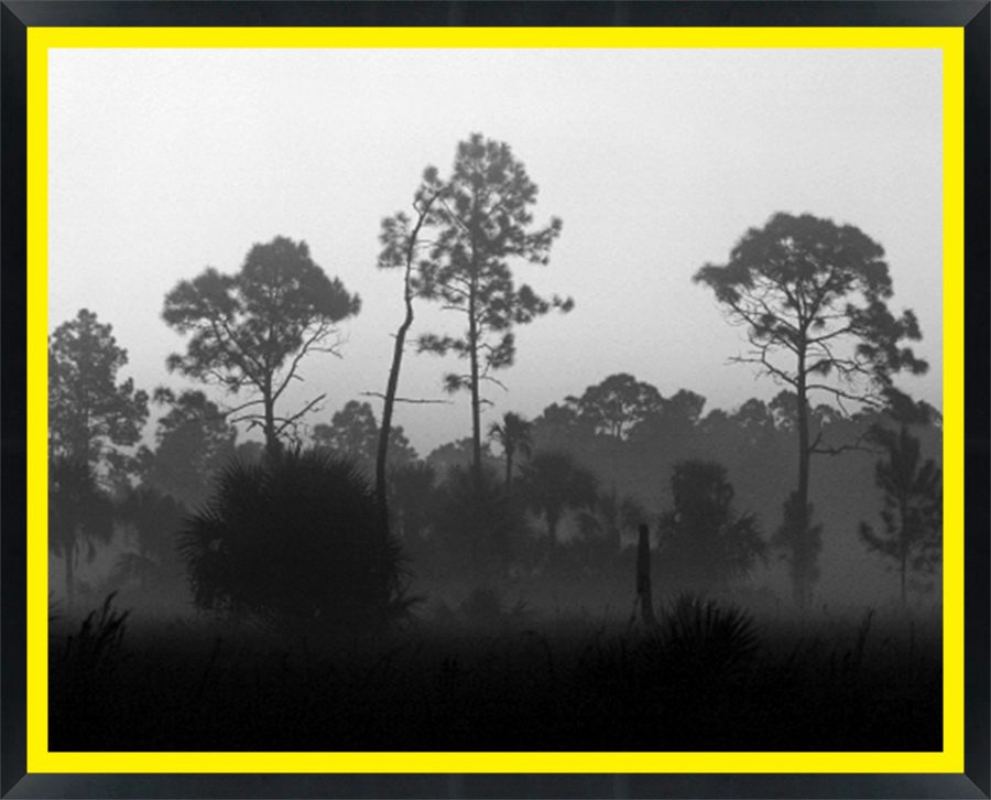 D06341 — Super 8 headboard artwork, Florida