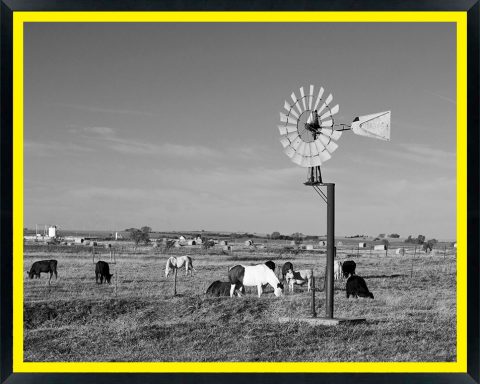 USA, Oklahoma, Route 66, near Calumet, Windpump and livestock (RF)