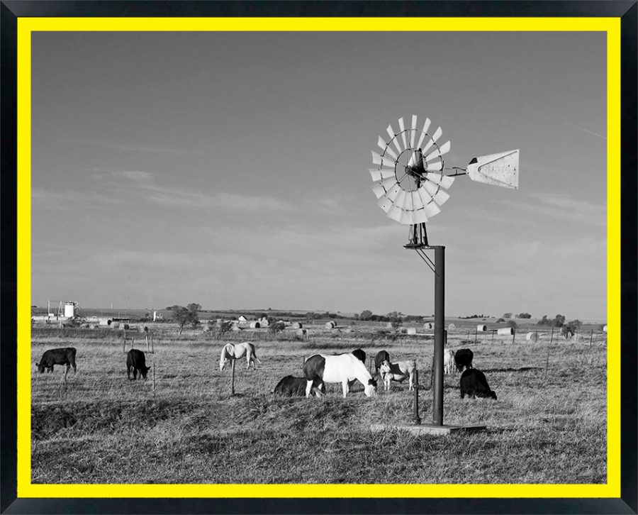 USA, Oklahoma, Route 66, near Calumet, Windpump and livestock (RF)